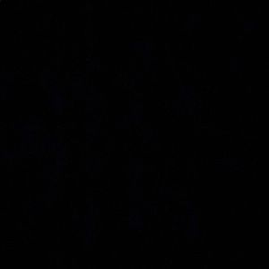 Meet your Posher, Kaylee